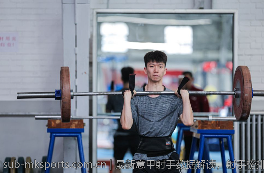 最新意甲射手数据解读，射手榜排名大揭秘