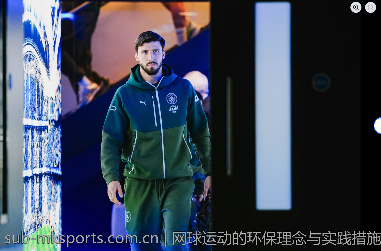 网球运动的环保理念与实践措施